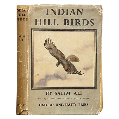 Indian Hill Birds