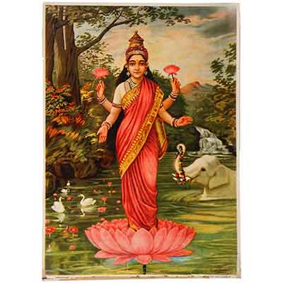 Laxmi