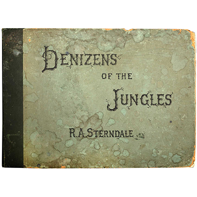 DENIZENS OF THE JUNGLES, A SERIES OF SKETCHES OF WILD ANIMALS