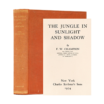 THE JUNGLE IN SUNLIGHT AND SHADOW