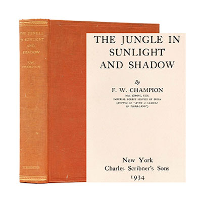 THE JUNGLE IN SUNLIGHT AND SHADOW